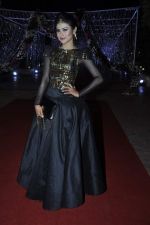 Mouni Roy at Aamna Sharif wedding reception in Mumbai on 28th Dec 2013